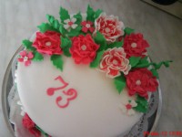 /album/fotogaleria-narodeninove/a542021-455422274519577-1226173970-n-jpg1/